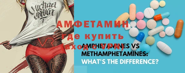 индика Медвежьегорск