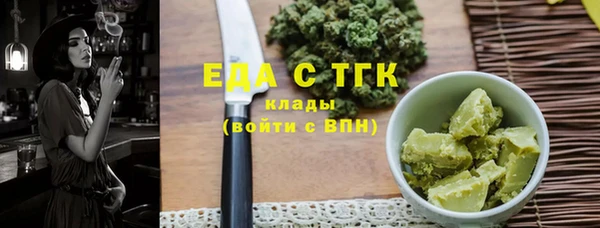 индика Медвежьегорск