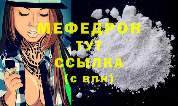 индика Медвежьегорск