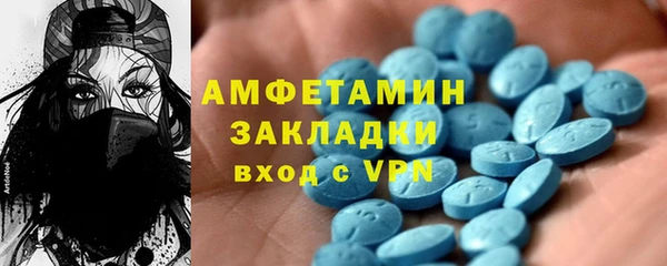 индика Медвежьегорск