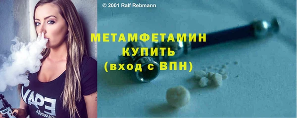 индика Медвежьегорск