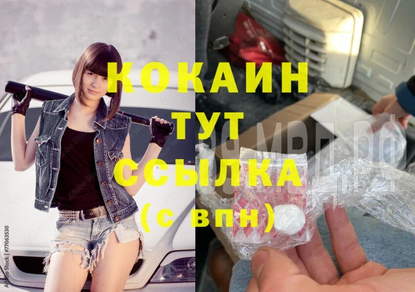 шишки Медногорск
