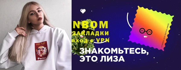 индика Медвежьегорск