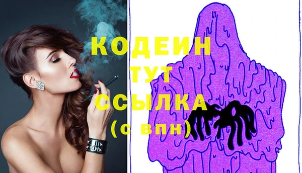 индика Медвежьегорск
