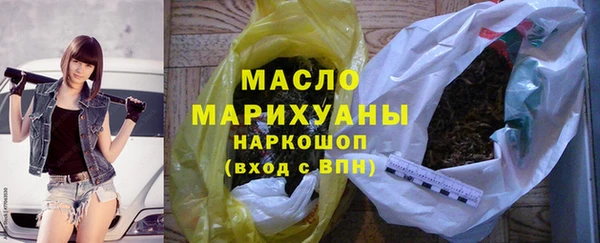 индика Медвежьегорск