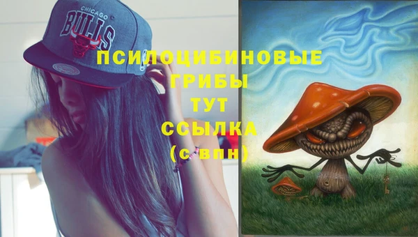 индика Медвежьегорск
