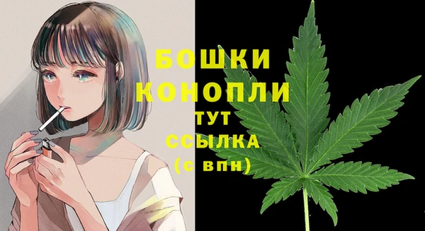 шишки Медногорск