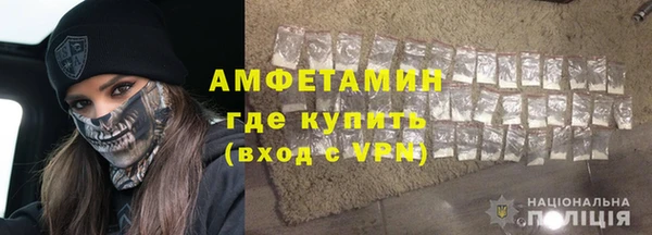 шишки Медногорск