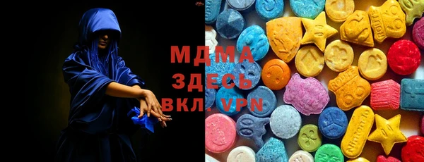 индика Медвежьегорск