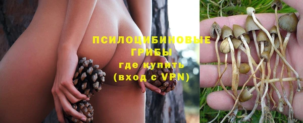 молекула духа Майский