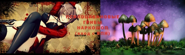 шишки Медногорск