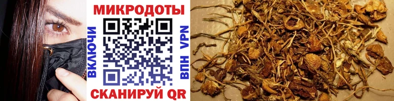 Псилоцибиновые грибы Cubensis  Новоаннинский 
