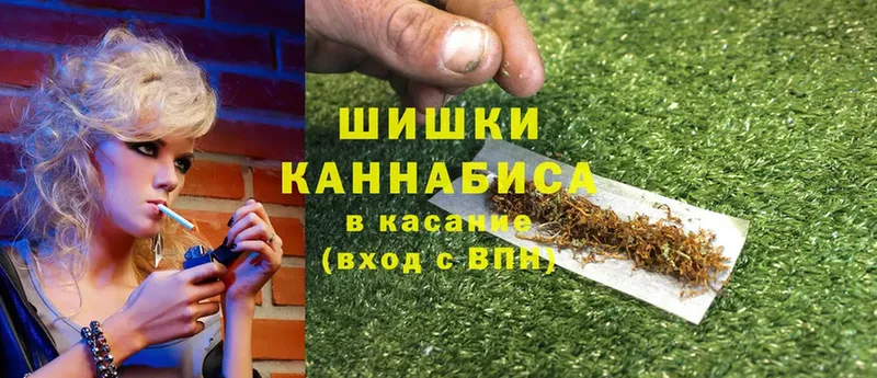 Конопля OG Kush  Новоаннинский 